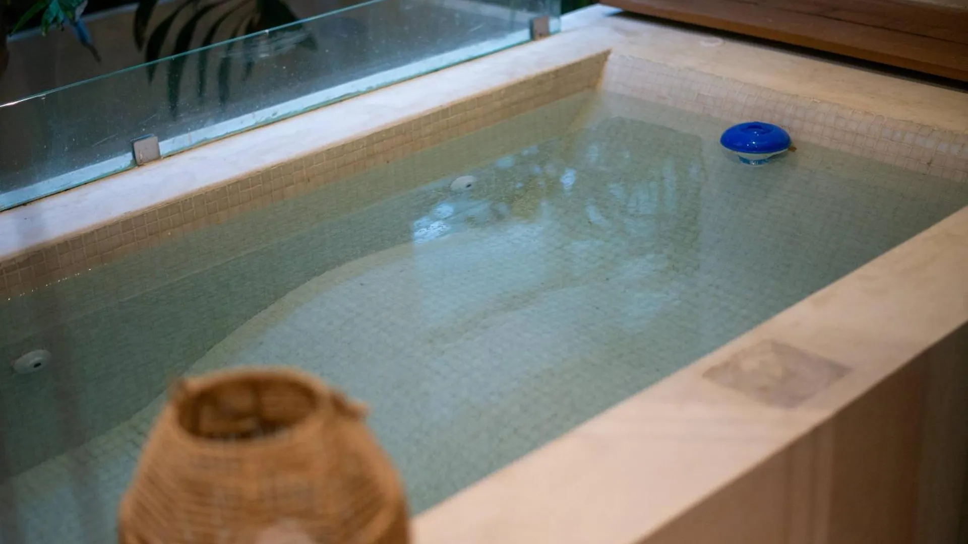 Stunning 2Br With Plunge Pool - Rooftop Sea Views Playa del Carmen